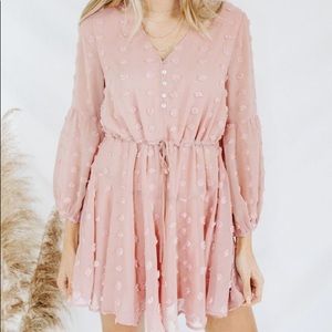 Blush Swiss Dot Dress: lizard Thicket